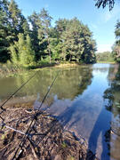 Angelurlaub Silbersee wildes Ufer aber Natur pure