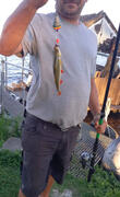 im Silbersee sind die Fische dicker als in der Havel ;)