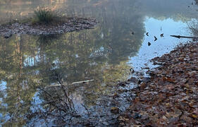 vor der Aktion Uferreinigung vor der Aktion Uferreinigung