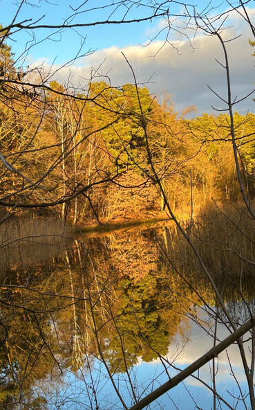 Die Vielfalt der Jahreszeiten am Silbersee auf Biberspur
