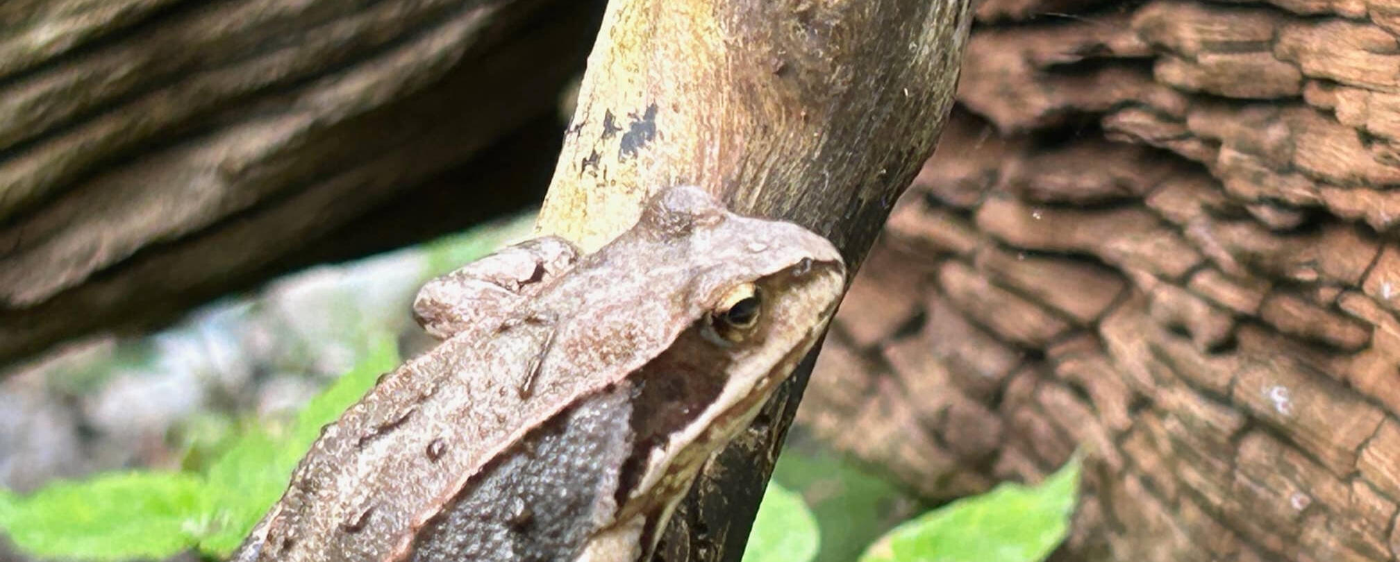 Biosphaerenreservat