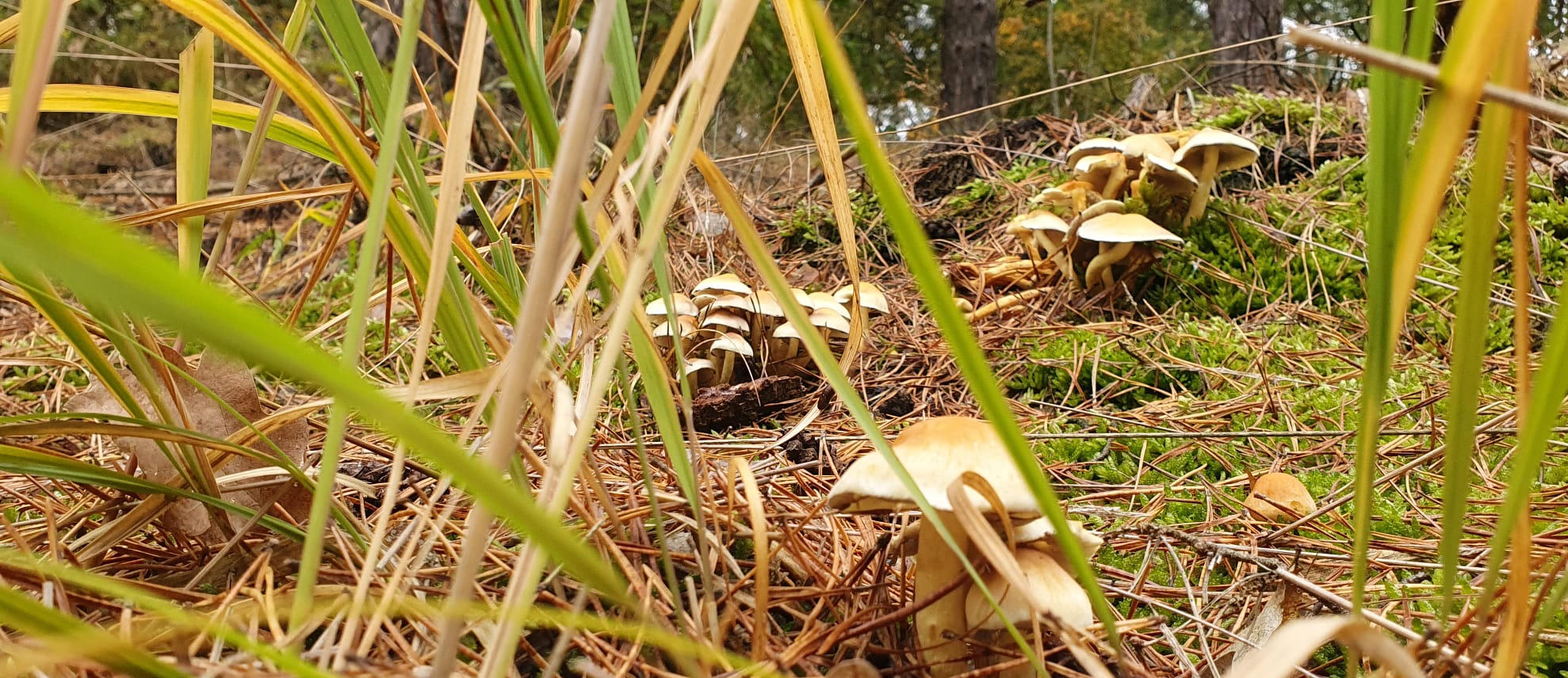 Biosphaerenreservat